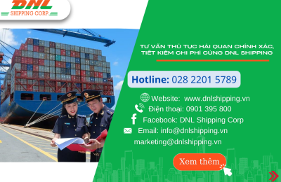 Tư Vấn Thủ Tục Hải Quan Chính Xác, Tiết Kiệm Chi Phí Cùng DNL SHIPPING