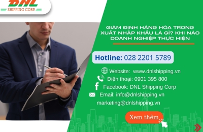 Giám định hàng hóa trong xuất nhập khẩu là gì? Khi nào doanh nghiệp thực hiện