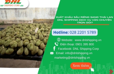 XUẤT KHẨU SẦU RIÊNG SANG THÁI LAN – DNL SHIPPING DỊCH VỤ VẬN CHUYỂN TRỌN GÓI