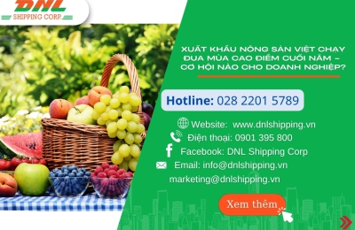 Xuất khẩu nông sản Việt chạy đua mùa cao điểm cuối năm – cơ hội nào cho doanh nghiệp?