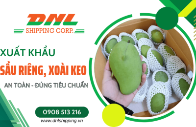 Xuất khẩu xoài keo và sầu riêng an toàn, đúng tiêu chuẩn cùng DNL Shipping Corp.