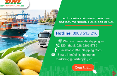 XUẤT KHẨU XOÀI SANG THÁI LAN: BẮT ĐẦU TỪ NGUỒN HÀNG ĐẠT CHUẨN