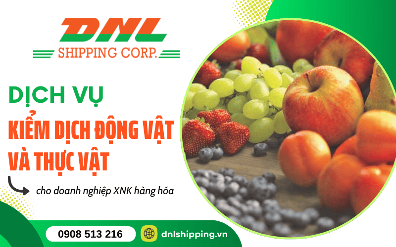 kiểm dịch thực vật và động vật