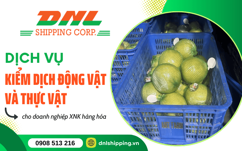 kiểm dịch thực vật và động vật