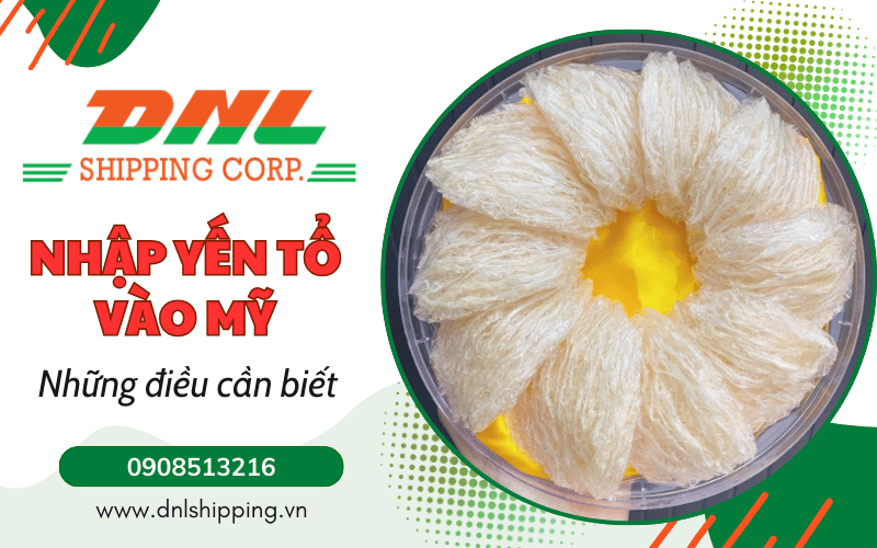 nhập yến tổ đi Mỹ